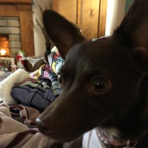 Meet your Posher, Anthony